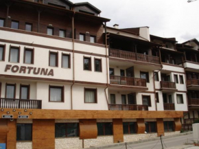 Cozy Fortuna Apartments 46 Bansko